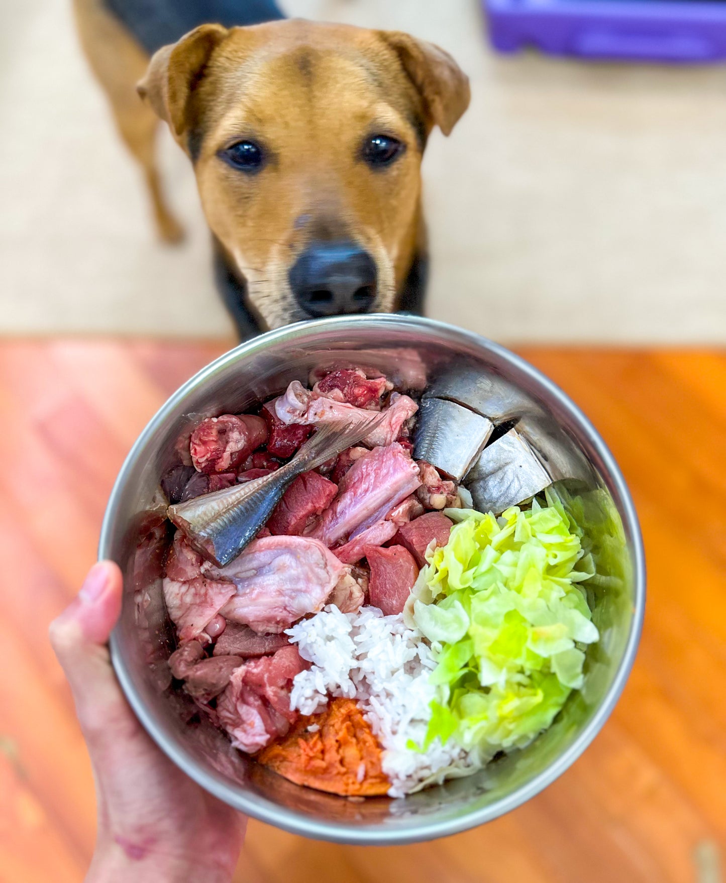 Custom meal prep